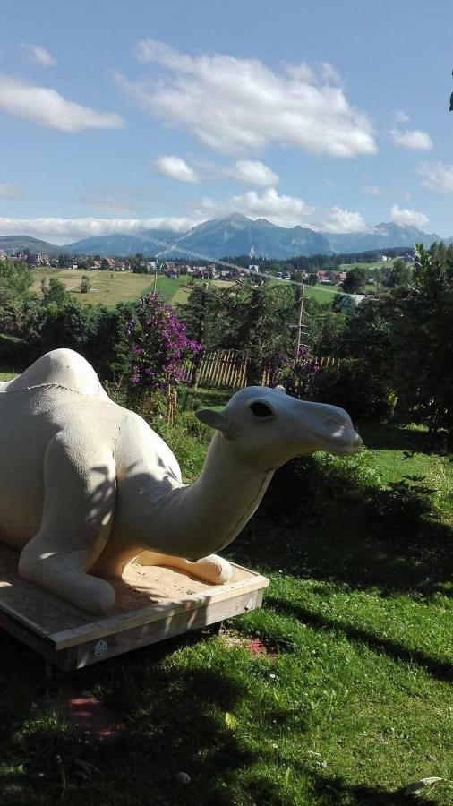 Agrotatry U Stachy Villa Bukowina Tatrzańska Buitenkant foto