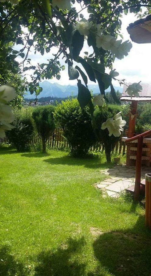 Agrotatry U Stachy Villa Bukowina Tatrzańska Buitenkant foto