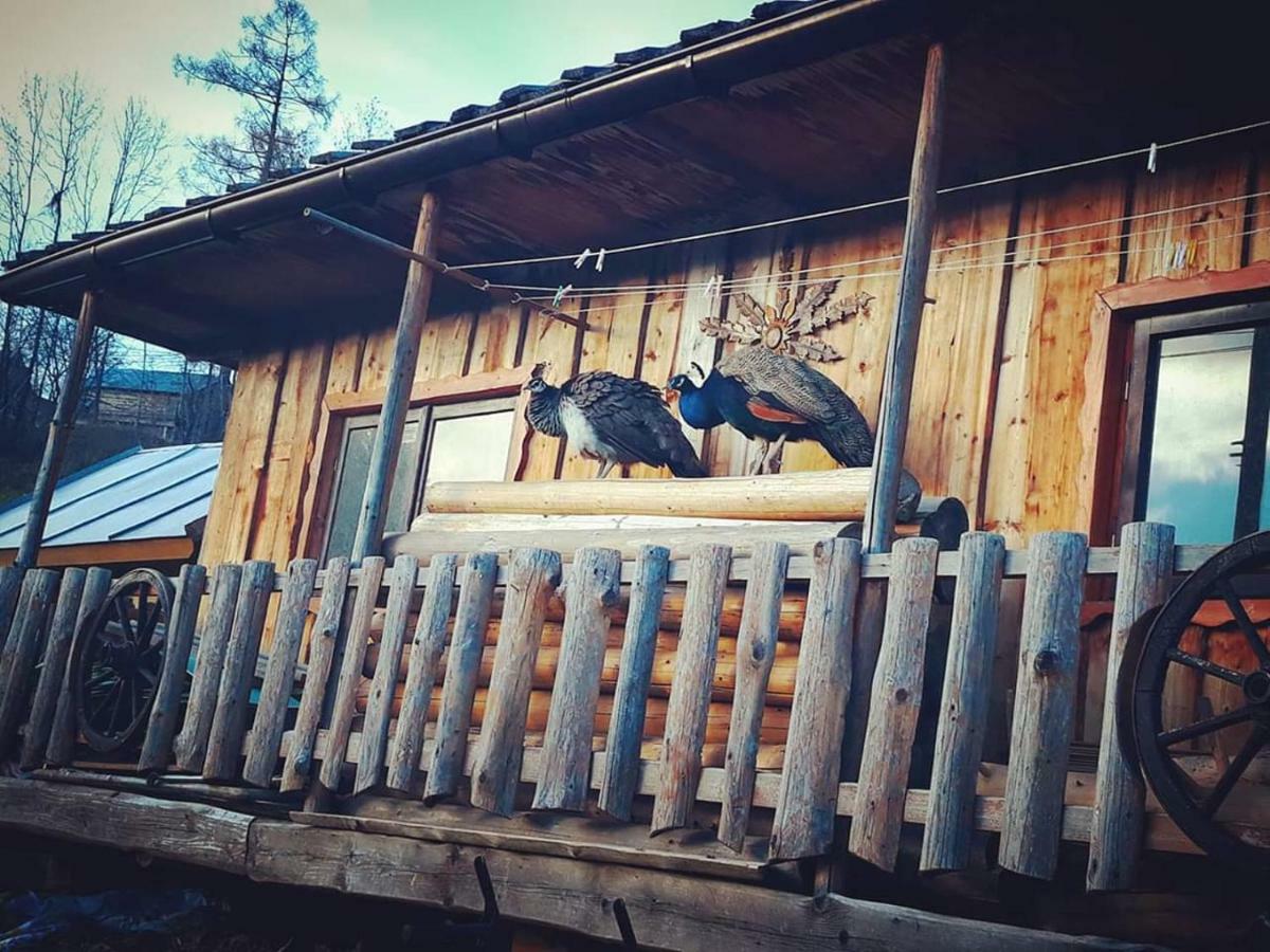 Agrotatry U Stachy Villa Bukowina Tatrzańska Buitenkant foto